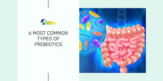 6 common types of probiotics
