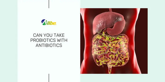 Why Can't You Take Probiotics With Antibiotics