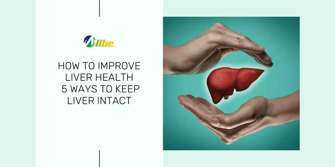 Human liver illustration held between two arms, symbolizing protection and liver health.