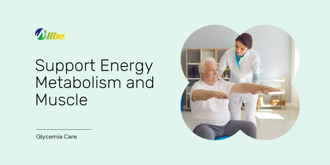 Suppport Energy Metabolism and muscle with glycemia care