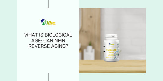 what is biological aging