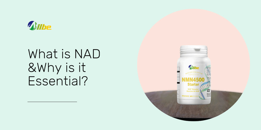what is NAD+