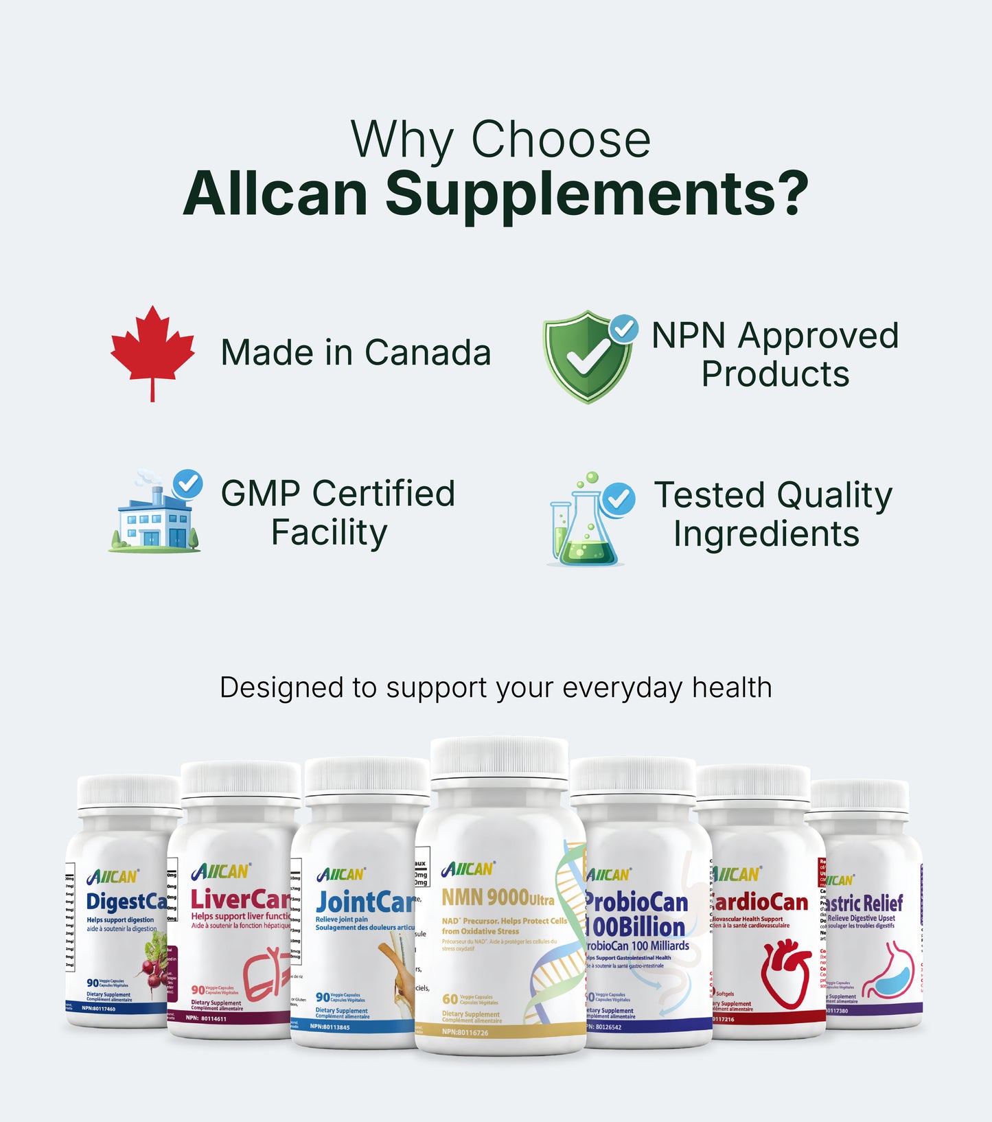 Soy Lecithin - Liver Health Support