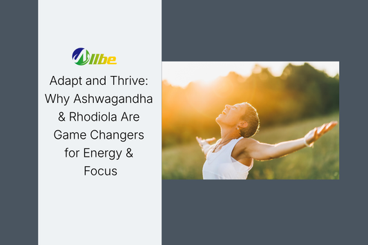 Adapt and Thrive: Why Ashwagandha & Rhodiola Are Game Changers for Energy & Focus