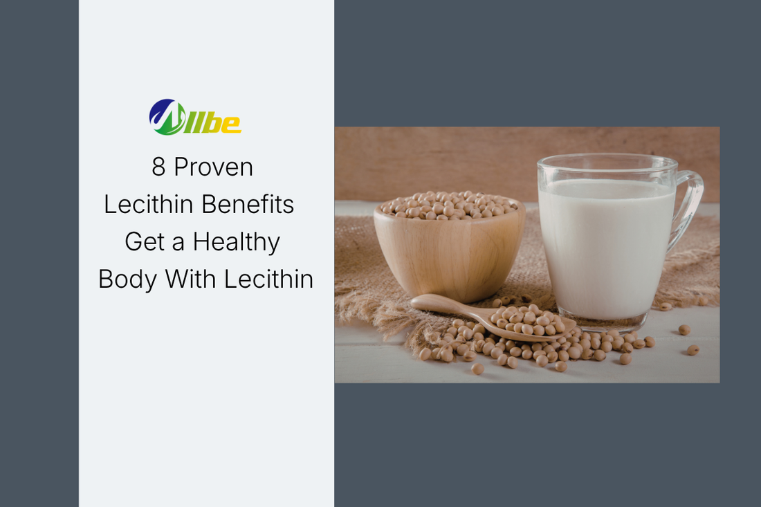 8 Proven Lecithin Benefits| Get a Healthy Body With Lecithin