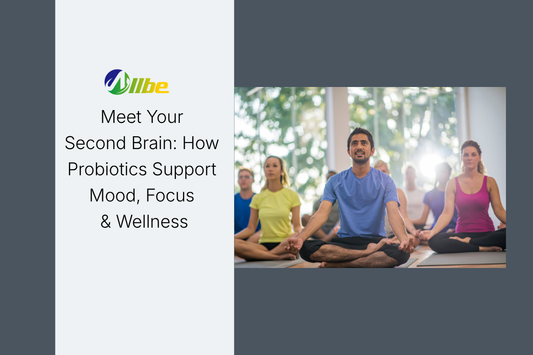 Meet Your Second Brain: How Probiotics Support Mood, Focus & Wellness