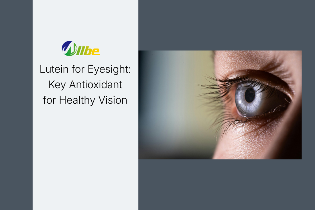 Lutein for Eyesight: Key Antioxidant for Healthy Vision