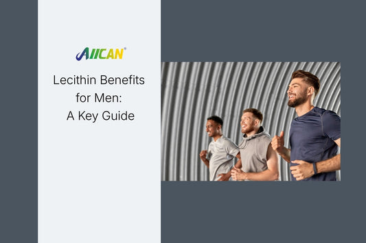 Lecithin Benefits for Men: A Key Guide