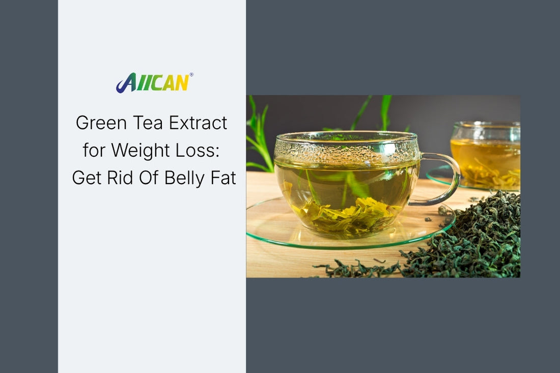 Green Tea Extract for Weight Loss: Get Rid Of Belly Fat