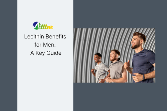 Lecithin Benefits for Men: A Key Guide