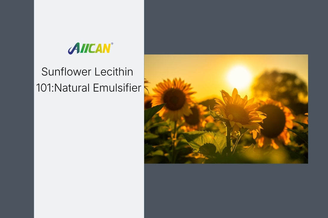 Sunflower Lecithin 101: Natural Emulsifier