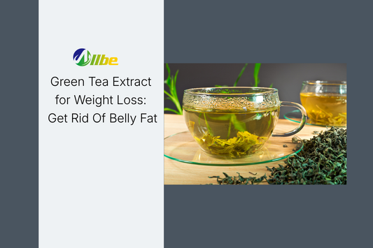 Green Tea Extract for Weight Loss: Get Rid Of Belly Fat