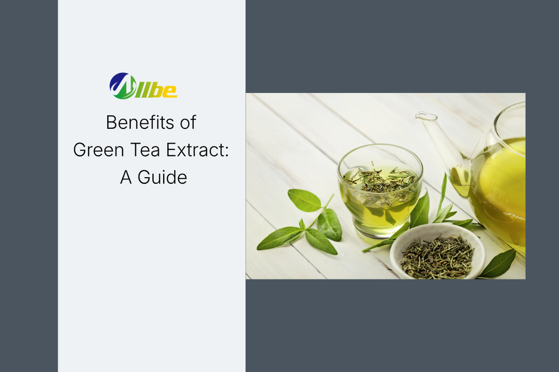 Benefits of Green Tea Extract: A Guide (8 Proven Benefits)