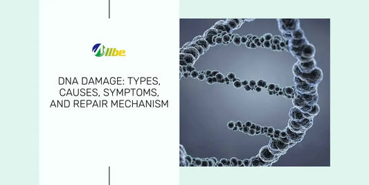 Illustration of DNA strand with a broken bond, representing DNA damage.