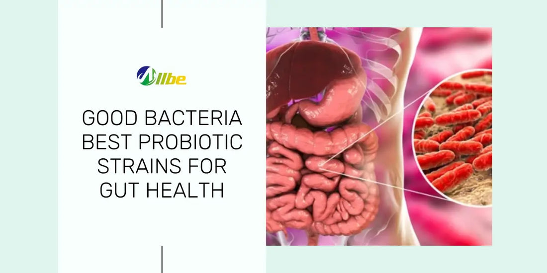 good bacteria best probiotic strains