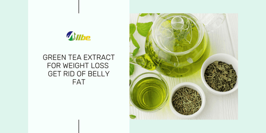 Green tea for Weight Loss 