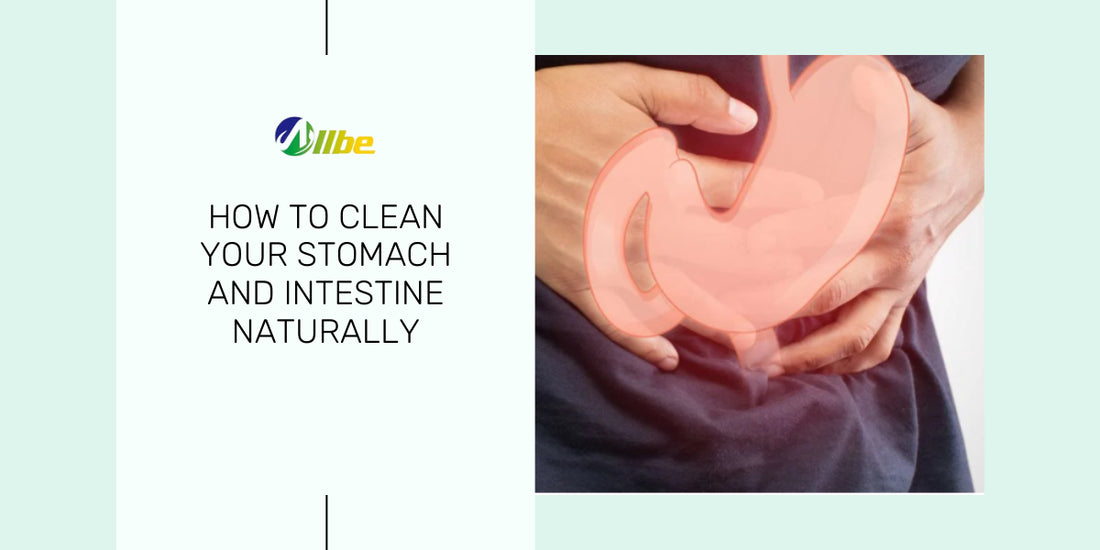 How to clean your stomach and intestine naturally