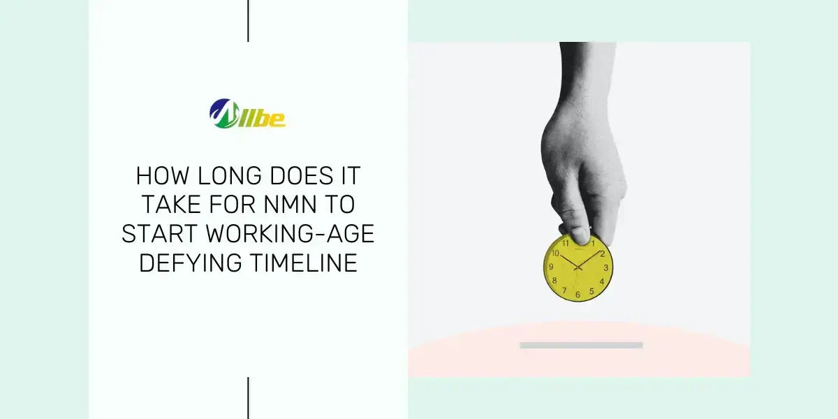 How Long Does It Take For NMN To Start Working (Ultimate Guide) - Allbe