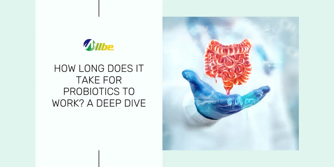 How Long Do Vaginal Probiotics Take To Work How Long Does it Take for Probiotics to Work? A Deep Dive - Allbe Canada