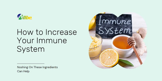 How to Increase Your Immune System Noshing On These Ingredients Can Help .webp