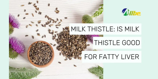 Is Milk Thistle Good For Fatty Liver