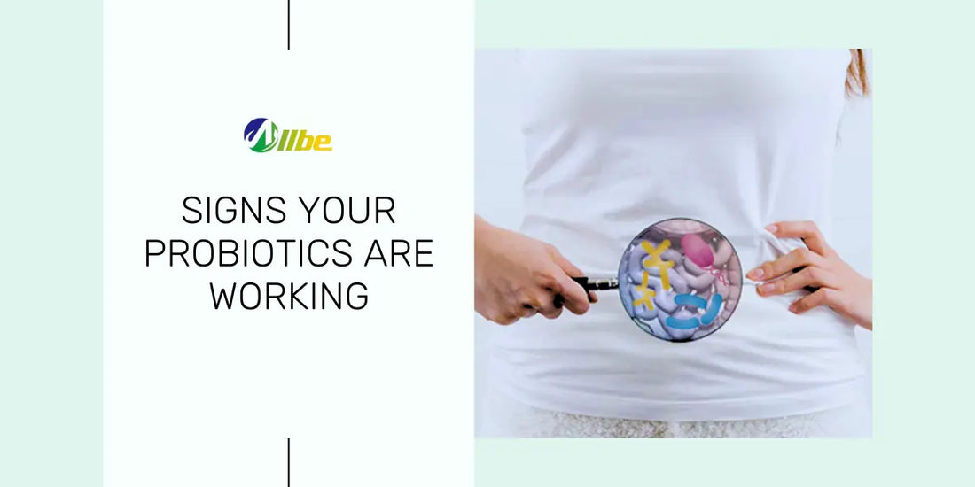 Signs your Probiotics are working