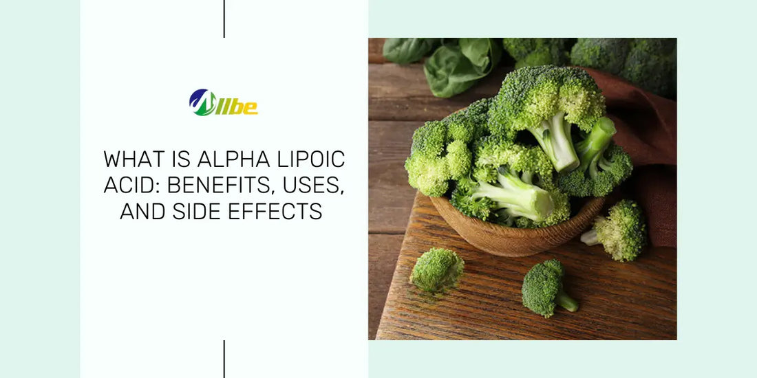 what is alpha lipoic acid