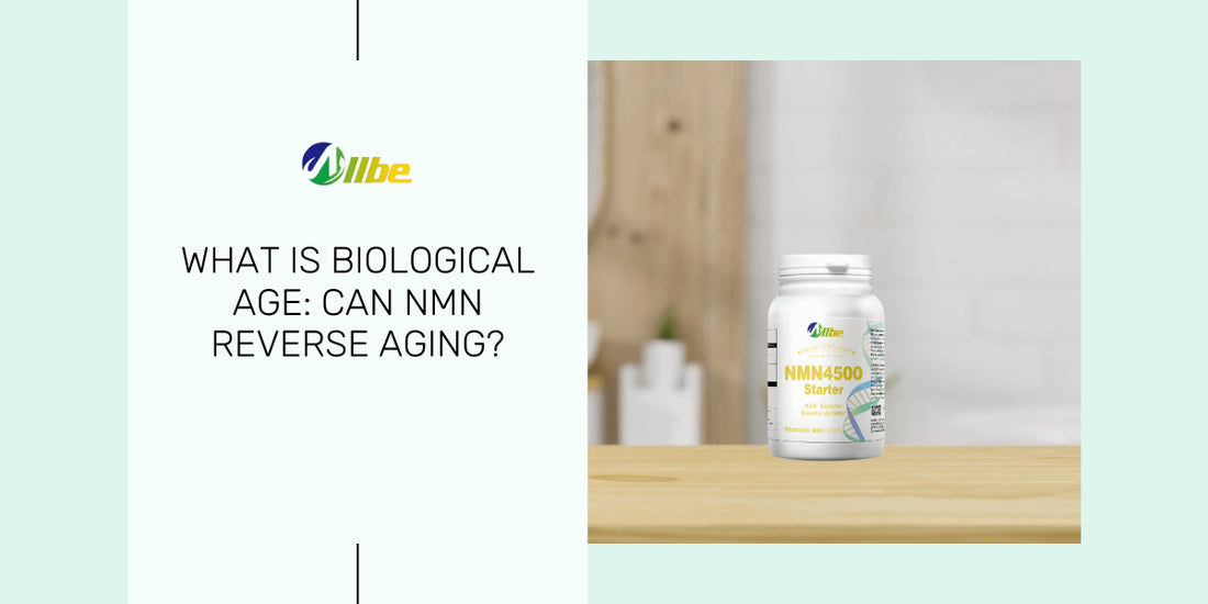 what is biological aging 