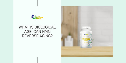 what is biological aging 