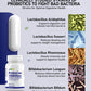 ProbioCan – 100 Billion CFU Probiotic