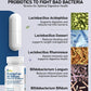 ProbioCan  50 Billion CFU Probiotic