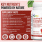 Active B Complex - Brain Function Support