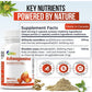 Ashwagandha & Rhodiola – Daily Wellness Support