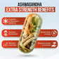 Ashwagandha & Rhodiola – Daily Wellness Support