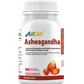 Ashwagandha & Rhodiola – Daily Wellness Support