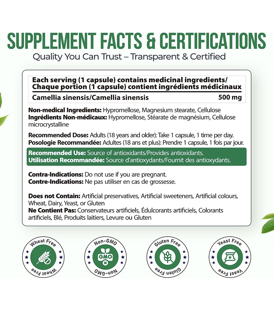 Green Tea Essence - Antioxidants Support
