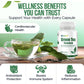 Green Tea Essence - Antioxidants Support