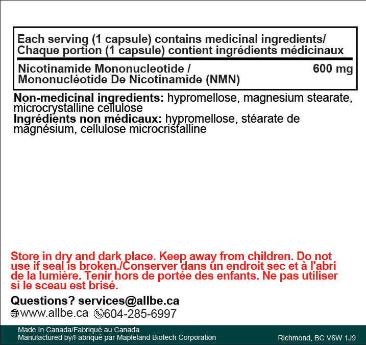 Allbe NMN 36000 Diamond – High Potency (60 Capsules)