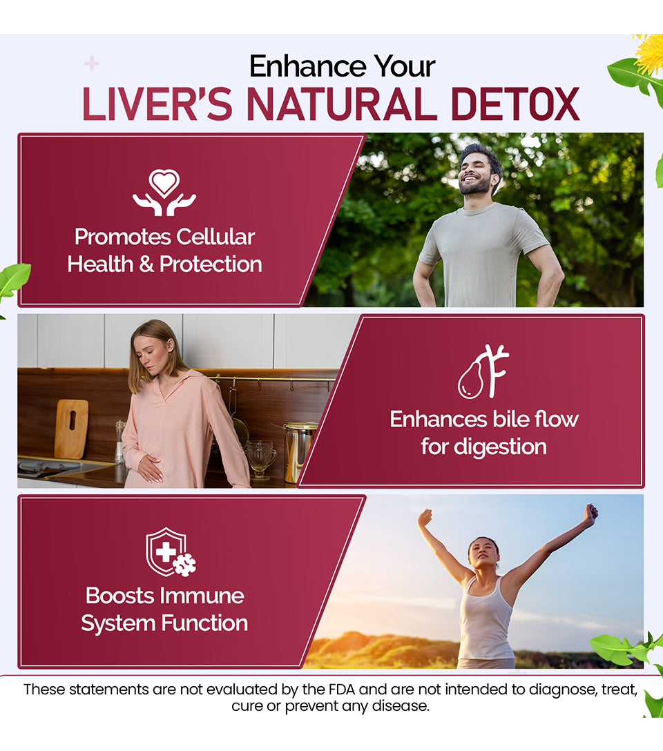 Milk Thistle Plus - Liver Function Support
