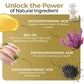 Seal Oil 1000mg